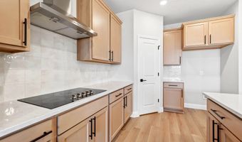 1609 Denali Dr, Anna, TX 75409