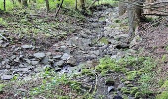 Shaver Hollow, Andes, NY 13731
