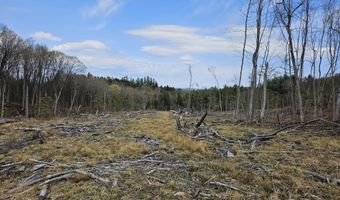 295 Shellstone Rd, Amsterdam, NY 12010