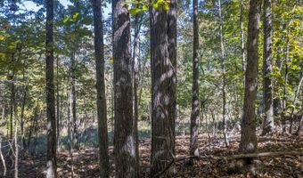 County Road 204, Alton, MO 65606