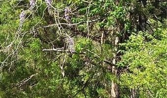 1642 R2 Kersey Valley Rd, Archdale, NC 27265