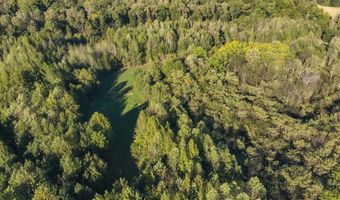 115 County Road 1039, Bardwell, KY 42023