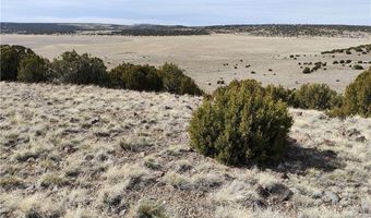 15 County Rd N8641, Concho, AZ 85924