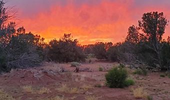 18 N5417, Concho, AZ 85924