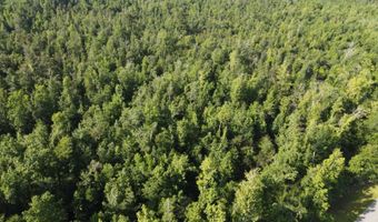 NW Shuman Ferry Rd, Altha, FL 32421