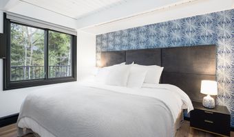 901 E Hyman Ave 4, Aspen, CO 81611