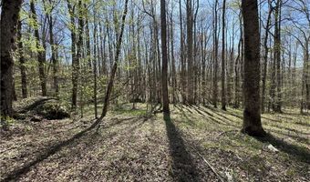 Tbd Katie Lane, Bakersville, NC 28705