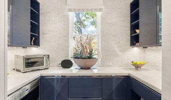 101 E Hallam St, Aspen, CO 81611
