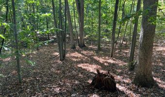 VL Lake Drive lot 174/175, Allegan, MI 49010
