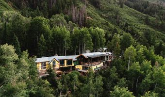 44481 HIGHWAY 82, Aspen, CO 81611