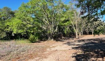 3109 US Hwy 129, Bell, FL 32619