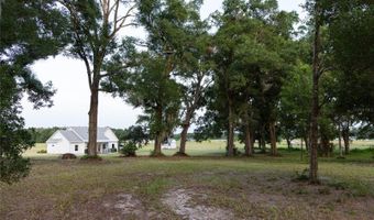 3705 NW 31ST Ave, Bell, FL 32619