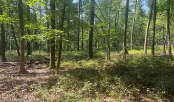 242 Brush Mountain Rd, Altoona, PA 16601