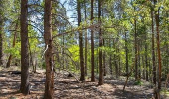 715 Lewsader Rd Lot 0, Alma, CO 80420