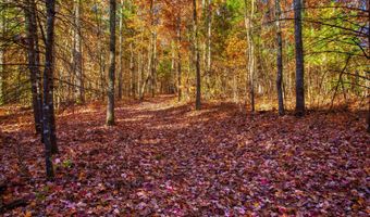 54 E Ridge Rd, Allardt, TN 38504