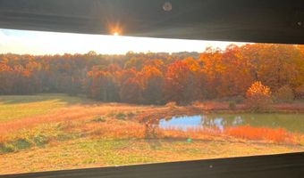 Rr 1 Box 6548, Ava, MO 65608