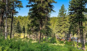32 Bridle Ct, Bigfork, MT 59911