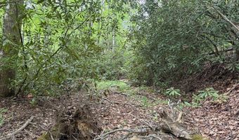 Warrior Way lot 9 & 17, Andrews, NC 28901