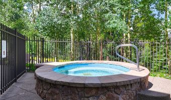 50 Mountain Thunder Dr 1102, Breckenridge, CO 80424