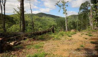 461 Reuben Wooten Rd, Banner Elk, NC 28604