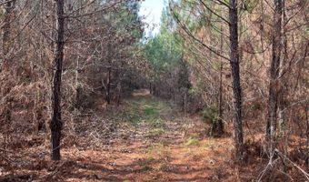 Cunningham Road, Bradley, SC 29819