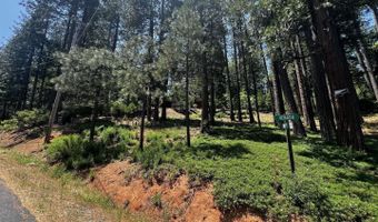 2904 Venado Dr, Arnold, CA 95223