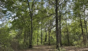 1311 A N Jackson St, Brookhaven, MS 39601
