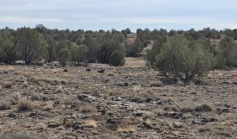 245 Antelope Run Rd, Ash Fork, AZ 86320