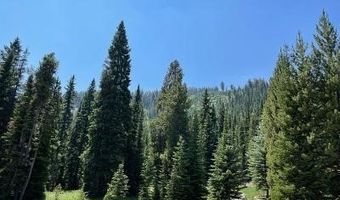 28 LOW DOG Rd, Big Sky, MT 59716