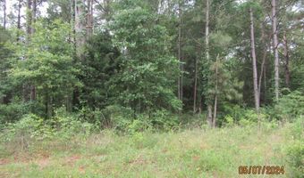 7275 Beulah Ln, Baconton, GA 31716