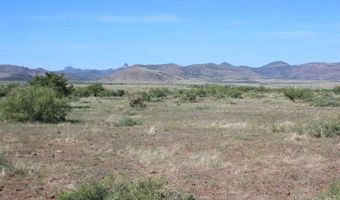 Tract 94 Sierra La Rana, Alpine, TX 79830