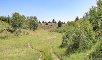 1780 Sadorus Hill Rd, Ashton, ID 83420