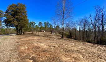 0 Adams Road - Lots 14 & 15 Lots, Bankston, AL 35542