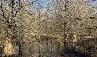 6075 Curtis Rd, Batesville, MS 38606