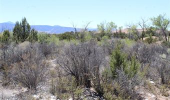 BEAN CREEK Road, Abiquiu, NM 87510