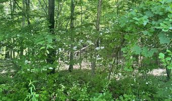 Mountain Road lot Map 25 Block A Lot 2.43 Lot Size 2.11, Chesterfield, NH 03466