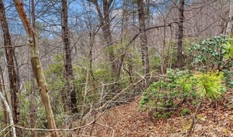 Lot 230 Catawba Falls Parkway 230, Black Mountain, NC 28711