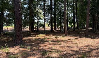 47 Manchester Ct, Bluffton, SC 29910