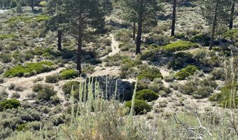 Kingsbury Grade, Gardnerville, NV 89460