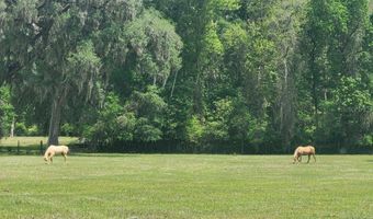 0 NE 132ND Pl, Anthony, FL 32617
