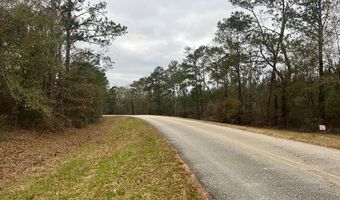 TBD County Road 86, Abbeville, AL 36310