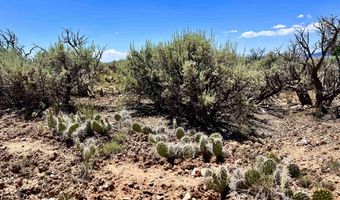 Between 265 277 Mesa Sea, Arroyo Hondo, NM 87513