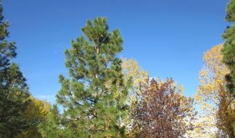 1505 Draw St, Cody, WY 82414