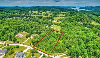 Stone Ridge Drive, Andersonville, TN 37705
