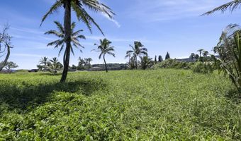 Keanae Rd, Hana, HI 96708