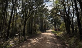 Old Faceville Rd lot # 4, Bainbridge, GA 39819