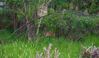 21 Old Boulder Rd, Big Timber, MT 59011