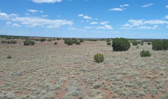 Tbd Ranch of the White Mountains, Concho, AZ 85924