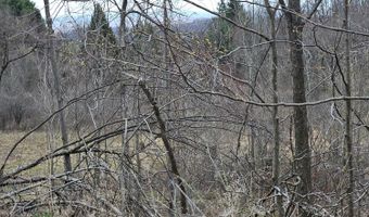 295 Shellstone Rd, Amsterdam, NY 12010