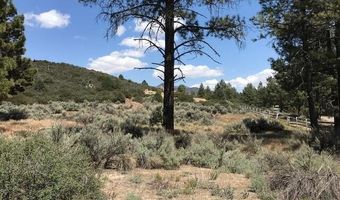 1 Butterfly Peak Rd, Mountain Center, CA 92561
